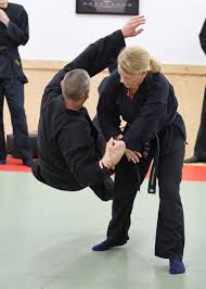 Image result for Bujinkan Crawley Dojo