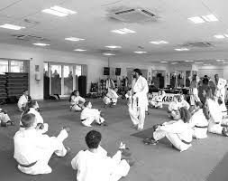 Image result for Thames Valley Karate