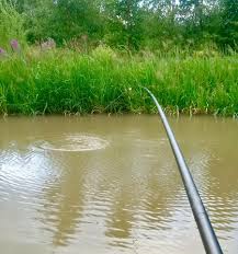 Image result for Dunham Massey Angling Club