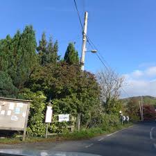 Image result for Bronwydd Cricket Club