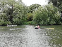 Image result for Wallingford Rowing Club