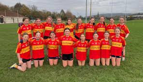Image result for Moycarkey-Borris Gaa Club