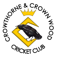 Image result for Wokingx1 Cricket Club