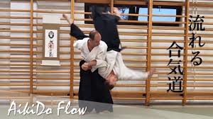 Image result for AikidoFlow