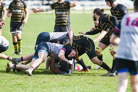 Image result for Ipswich Rfc