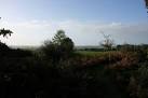 part of Puddletown Forest. - via Daymix