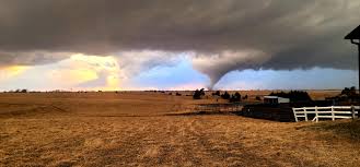 Image result for Tadcaster Tornadoes