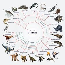 Attēlu rezultāti vaicājumam “Sauria”