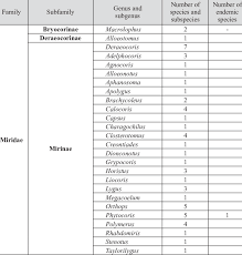 Attēlu rezultāti vaicājumam “Alloeotomus sp.”