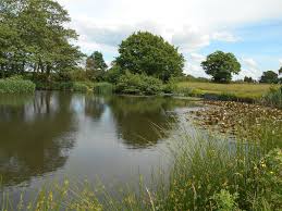 Image result for Bay Malton Angling Club