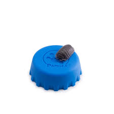 Attēlu rezultāti vaicājumam “Conardia compacta macro”