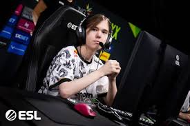 Image result for donk