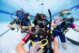 Image result for Dive Solutions, London