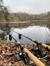 Image result for Cobham Court Angling Club
