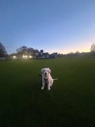 Image result for Vernon Carus Sports Club