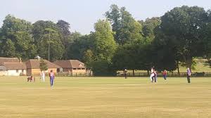 Image result for Chew Magna Cricket Club