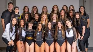 Image result for Durham University Gymnastics Club