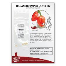 Afbeeldingsresultaat voor paper lantern hot pepper