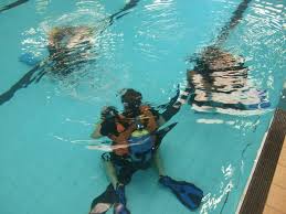 Image result for Torbay Sub-Aqua Club