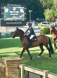 Image result for Fisher Equestrian