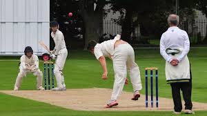 Image result for Thriplow Cricket Club