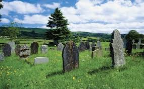 Image result for Newton Abbot Somersaults Gc