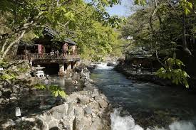 「ハナコ テルマエ・ロマエ」の画像検索結果