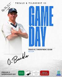 Image result for Theale and Tilehurst Cricket Club