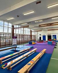 Image result for Aylesbury Gymnastics Club