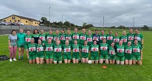 Image result for Wolfe Tones Gaelic Athletic Club