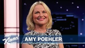 Image result for Bugaboo Cameleon Amy Poehler