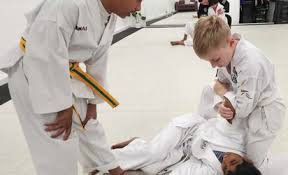 Image result for Plymouth Karate Club Kyokai