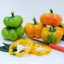 Afbeeldingsresultaat voor topepo giallo sweet pepper