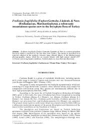 Attēlu rezultāti vaicājumam “Frullania fragilifolia”