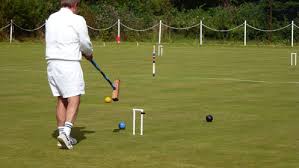 Image result for Croquet In Pendle