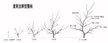 「柿の木利江」の画像検索結果