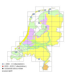 Attēlu rezultāti vaicājumam “Conardia compacta”