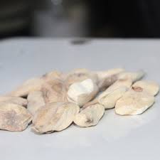 Attēlu rezultāti vaicājumam “Colchicum luteum”