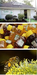 Image result for Boccia In Epsom & Ewell (Bees)