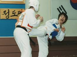 Image result for English International Allstyles Taekwon-Do