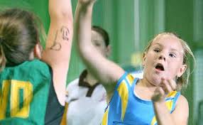 Image result for Flava Netball Club