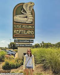 Image result for Clyde Valley Predators