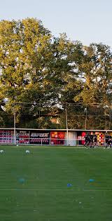 Image result for Brislington Cricket Club