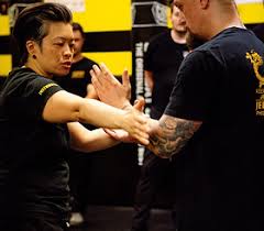 Image result for Somerset Jeet Kune Do