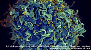 Image result for фотография вируса вич