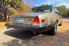 Image result for Silver Birch 1987 Jaguar