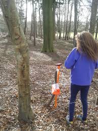 Image result for Wessex Orienteering Club