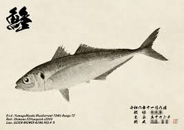 「魚拓」的圖片搜尋結果