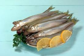 Image result for Osmerus eperlanus