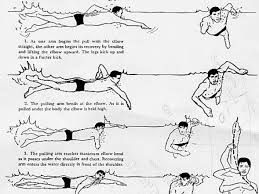 Image result for Etwall Eagles Swimming Club